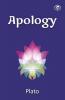 Apology