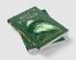 Leaves of Grass
