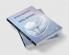 OPTICAL PROPERTIES OF RESTORATIVE DENTAL MATERIALS