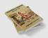 BHAGAVATHATHILE 24 GURUKKANMAAR( AVADHUTA GITA)