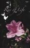 Ray of Life