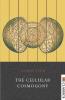 The Cellular Cosmogony: The Age of Fire And Gravel