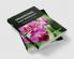 Angiospermic Plant Morphology