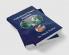 Cardiothoracic and Vascular Surgery - Simplified Volume I Volume II Volume III
