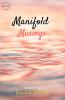 Manifold Musings
