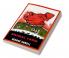 Animal Farm