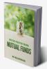 INVESTORS PERCEPTION TOWARDS MUTUAL FUNDS