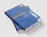 My Blue Book of Grammar for Class 5