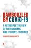BAMBOOZLED by COVID19 - A Retrospective view of the Pandemic and its Novel Vaccines