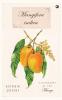 Mangifera indica