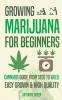 Growing Marijuana for Beginners
