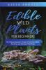 Edible Wild Plants for Beginners