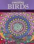 Amazing Birds: Adult Coloring Book