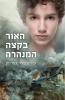 האור בקצה המנהרה