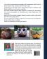 Mosaics for the Home and Garden: Creative Guide Original Projects and instructions: 1 (Art and Crafts Book)