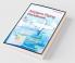Airplane Flying Handbook (Color Print)