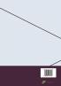 Applications and Interpretation for IBDP Mathematics Book 2: Your Practice Set