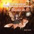 The Mystical Adventures of Fairies: 4 Books in 1