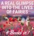 A Real Glimpse Into the Lives of Fairies: 4 Books in 1