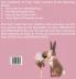 A Real Glimpse Into the Lives of Fairies: 4 Books in 1
