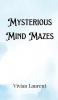 Mysterious Mind Mazes