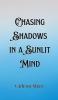 Chasing Shadows in a Sunlit Mind