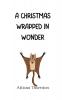 A Christmas Wrapped in Wonder