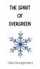 The Spirit of Evergreen