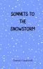 Sonnets to the Snowstorm