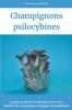 Champignons psilocybines