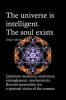 The universe is intelligent. The soul exists. Quantum mysteries multiverse entanglement synchronicity. Beyond materiality for a spiritual vision of the cosmos.