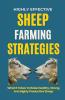 Highly Effective Sheep Farming Strategies