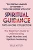 Spiritual Guidance Two-In-One Collection The Spiritual Meanings of Numbers + From the Universe with Love