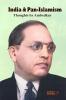 India and  Pan-Islamism