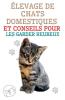 ��levage de Chats Domestiques et Conseils Pour les Garder Heureux