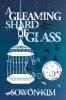A Gleaming Shard of Glass