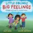Little Siblings Big Feelings