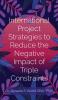 International Project Strategies to Reduce the Negative Impact of Triple Constraints