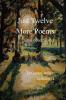 Just Twelve More Poems