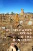 Wildflowers Rising in the Boneyard