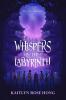 Whispers in the Labyrinth