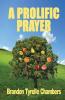 A Prolific Prayer