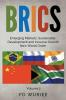 BRICS Emerging Markets Sustainable Development and Inclusive Growth