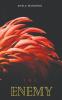 The Enemy