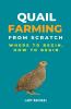Quail Farming From Scratch