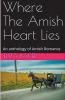 Where The Amish Heart Lies