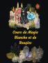 Cours de Magie Blanche et de Bougies
