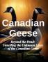 Canadian Geese