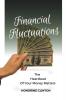Financial  Fluctuations