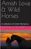 Amish Love & Wild Horses